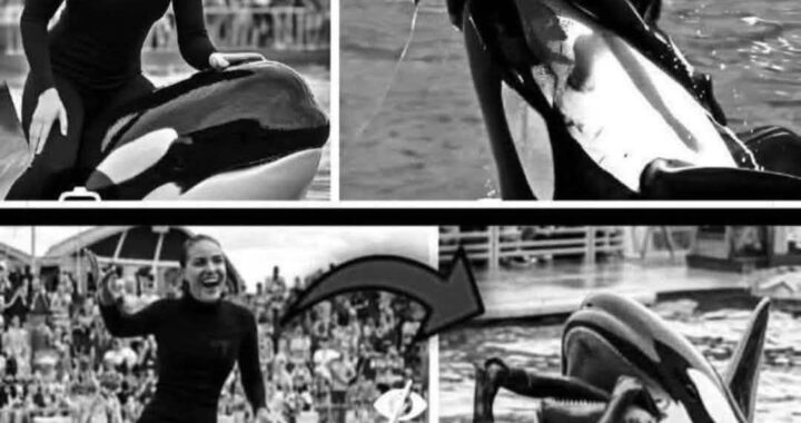 🤕Coach Orca is Destroy by this thing while … see more