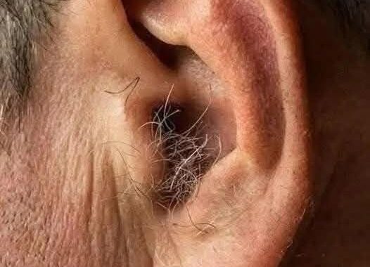 DID YOU KNOW that if hair grows on your ears, it’s because your body is