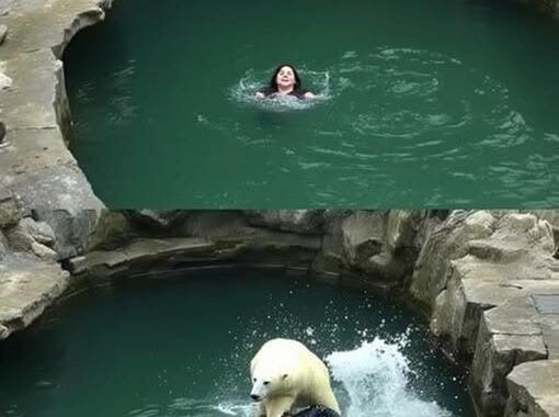 A 32-year-old woman was attacked by a polar bear after she jumped into their enclosure at the Berlin Zoo.
