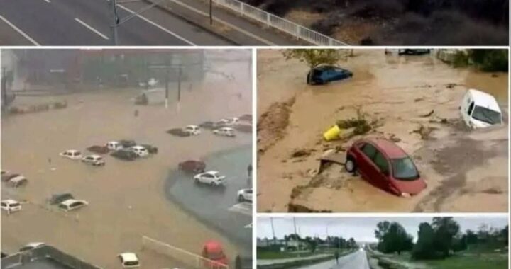 ⛵️9.1 magnitude earthquake also causes a large Tidal in the city of…See more