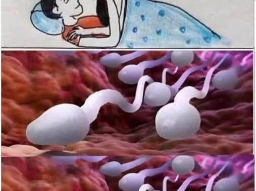 ❤️Many know! Studies reveal that swallowing your partner’s semen…