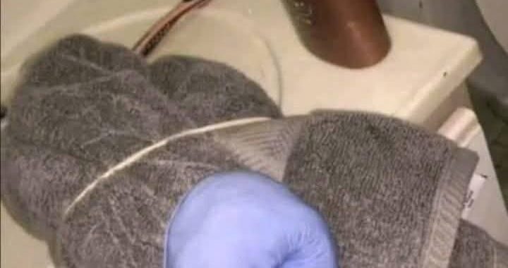 👀👀PEOPLE WERE SHOCKED BY THE STRANGE ITEMS THEY SAW, BUT THE INTERNET HAD THE ANSWERS