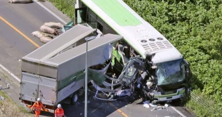 BREAKING: Shocking Accident Unfolds – The Truth Revealed!