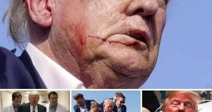 🤧Donald Trump experiences ‘Biden moment’ after viral stumble up Air Force One stairs
