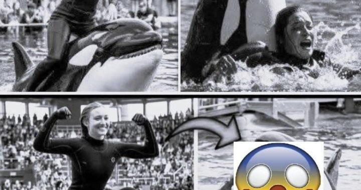 Coach Orca is Destroy by this thing while … see more