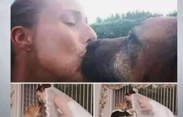 🐕🐕🐕SHE MARRIED HER OWN MAN , BUT ON HER HONEYMOON… SEE MORE