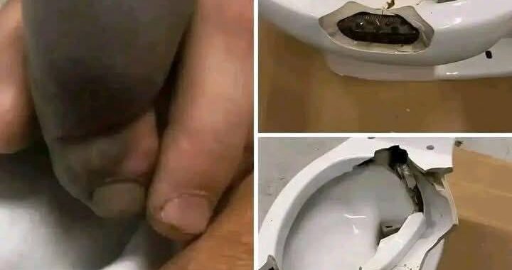 He went to the bathroom without knowing that there was a…See more