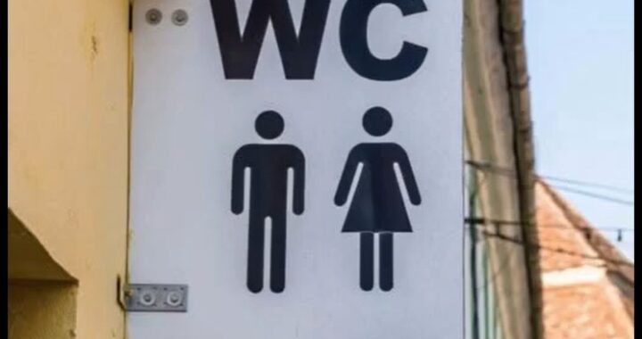 🧐What the letters ‘WC’ on bathroom doors actually stand for